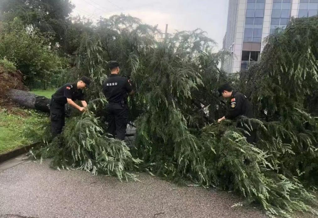 C:/Users/BA/Desktop/風(fēng)雨過后南京保安迅速行動，恢復(fù)安“寧”面貌/1.jpg1