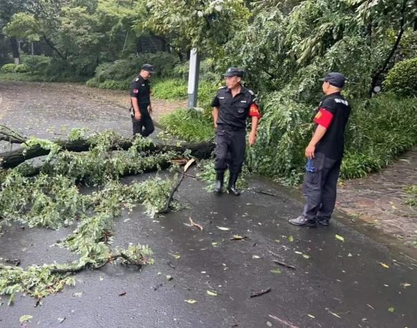 C:/Users/BA/Desktop/風(fēng)雨過后南京保安迅速行動，恢復(fù)安“寧”面貌/7.jpg7